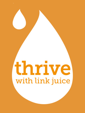 What is Link juice or Link equity?