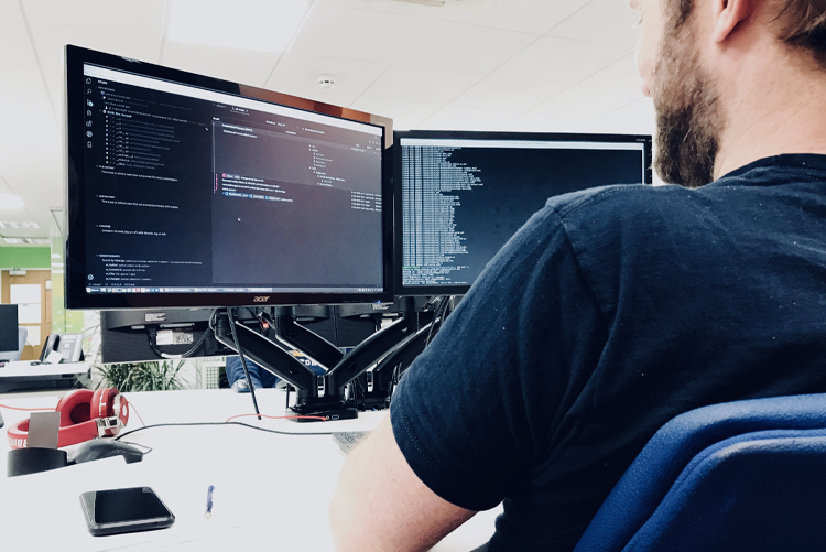 Developer job sussex