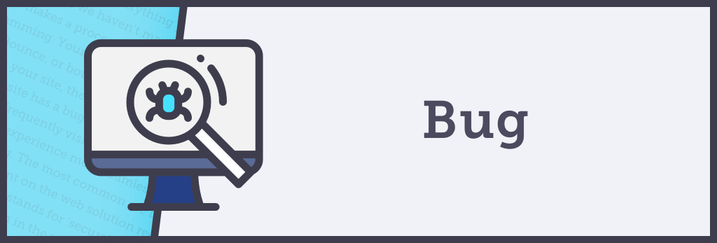 What is a bug?