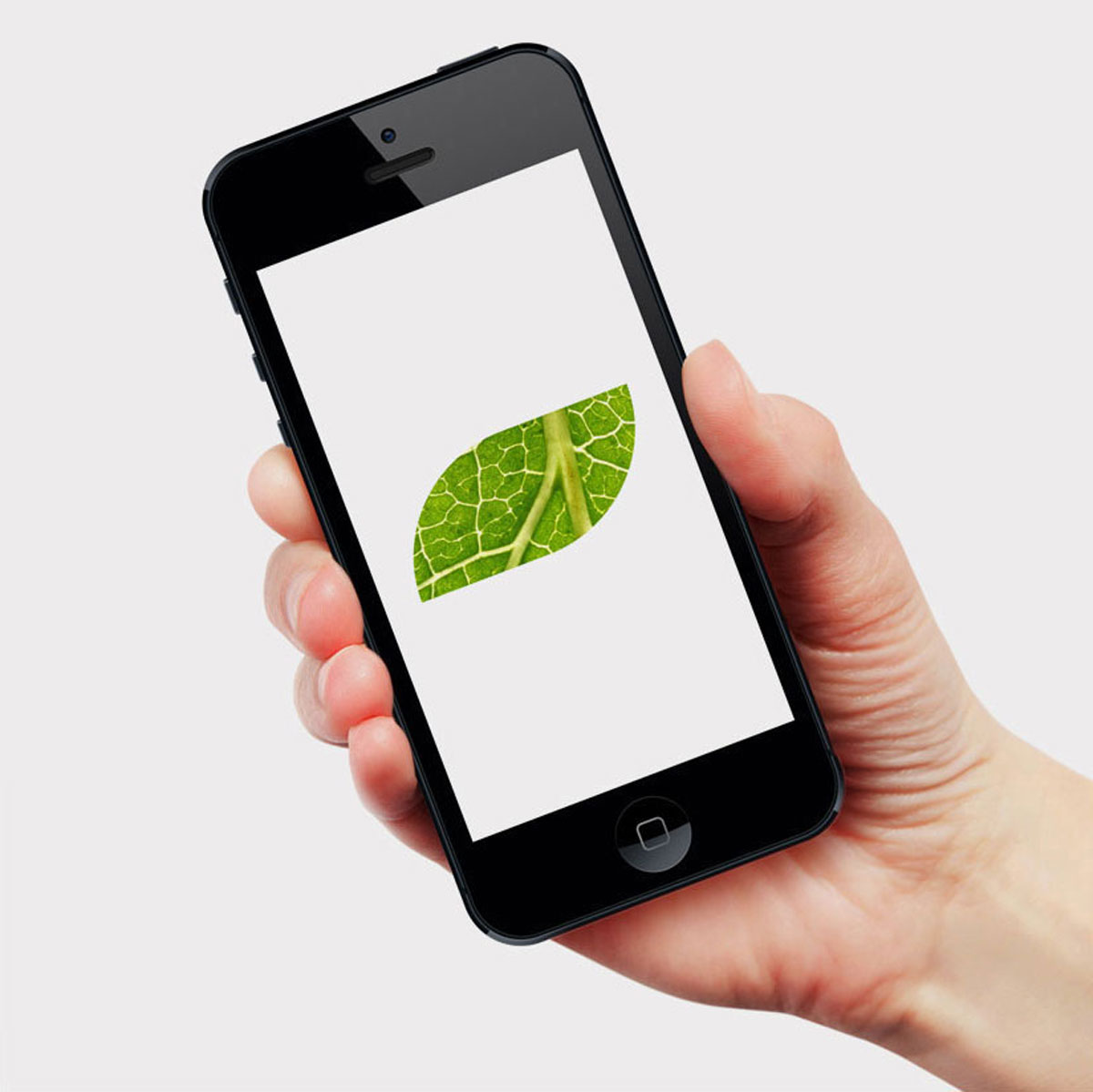 Branding and logo design for commercial cleaning company