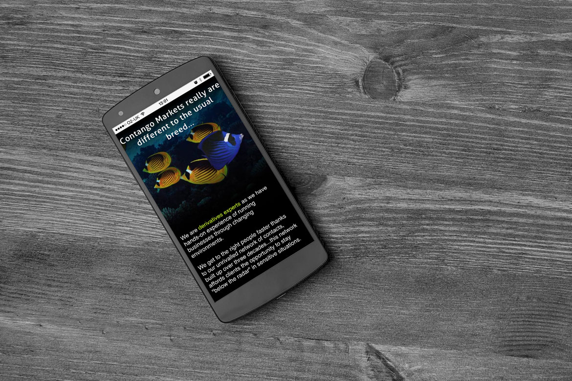 Mobile optimised website design for business development company