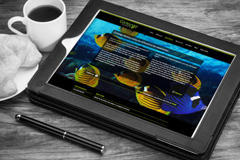 Bespoke website design and build for Contango Markets, East Grinstead