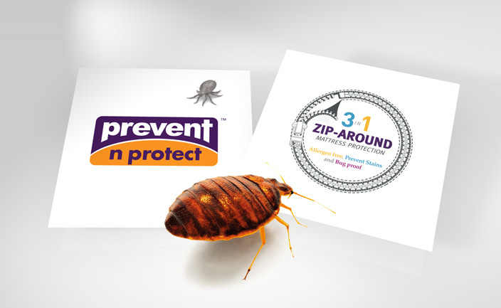 Branding, marketing and website solution for bed bug protection company Prevent n Protect